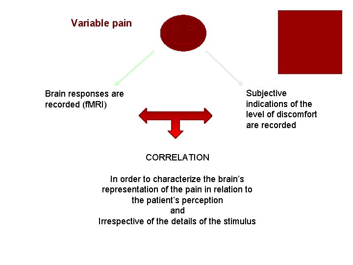  Variable pain Subjective indications of the level of discomfort are recorded Brain responses