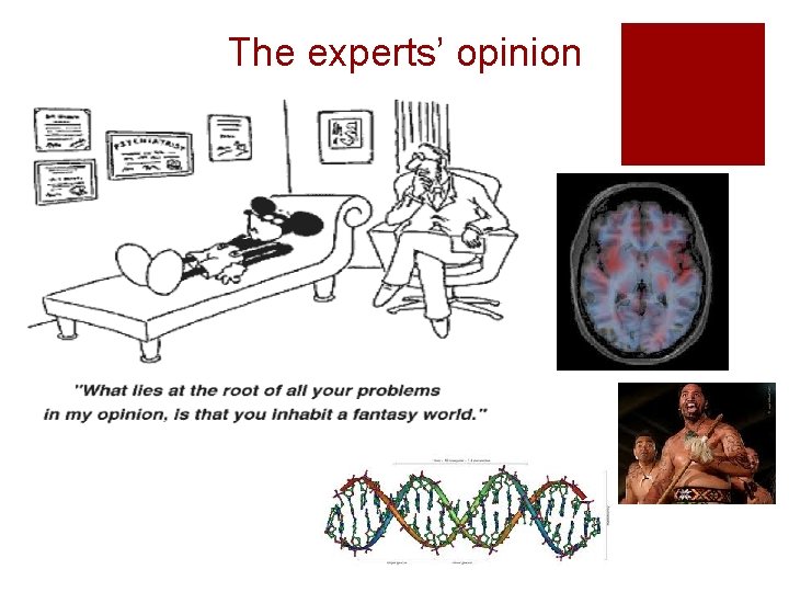 The experts’ opinion 