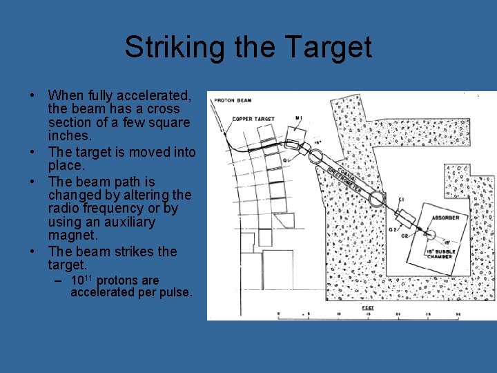 Striking the Target • When fully accelerated, the beam has a cross section of