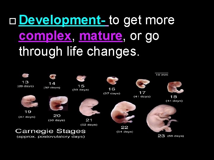  Development- to get more complex, mature, or go through life changes. 