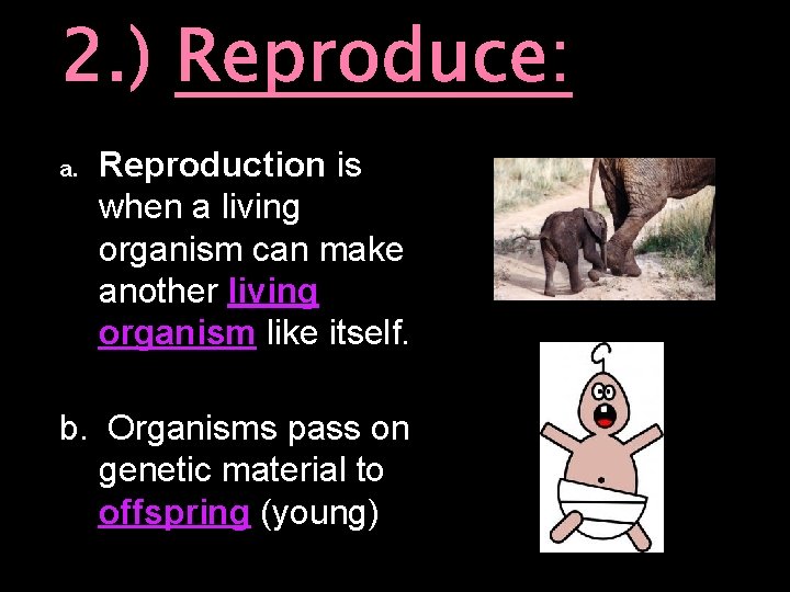 2. ) Reproduce: a. Reproduction is when a living organism can make another living