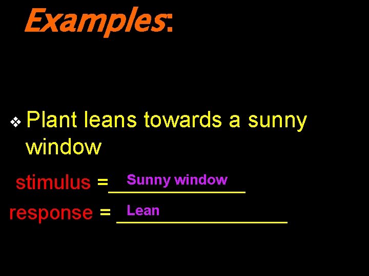 Examples: v Plant leans towards a sunny window Sunny window stimulus =______ Lean response