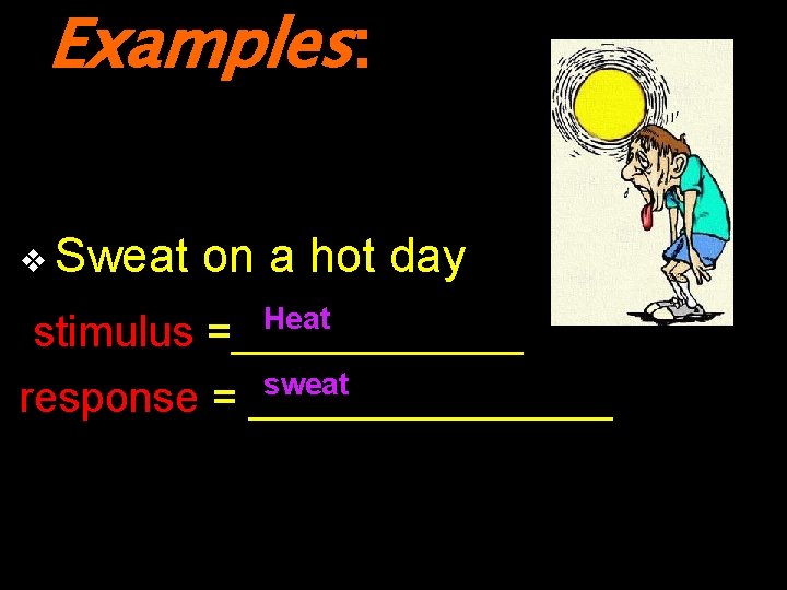 Examples: v Sweat on a hot day Heat stimulus =______ sweat response = ________