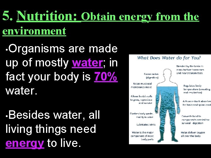 5. Nutrition: Obtain energy from the environment • Organisms are made up of mostly
