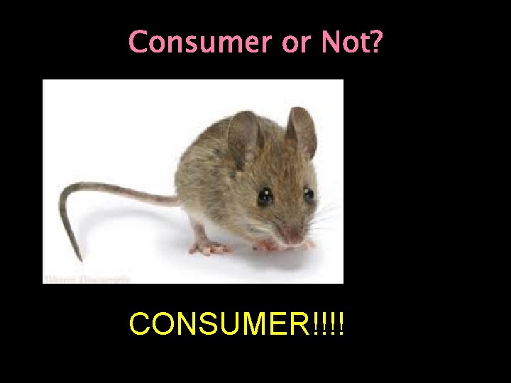 Consumer or Not? CONSUMER!!!! 