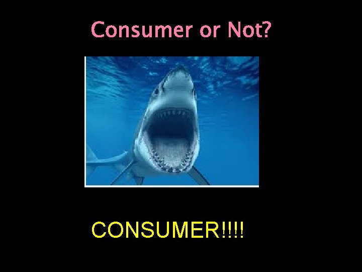 Consumer or Not? CONSUMER!!!! 