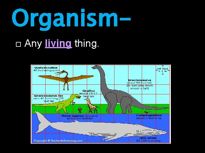 Organism Any living thing. 