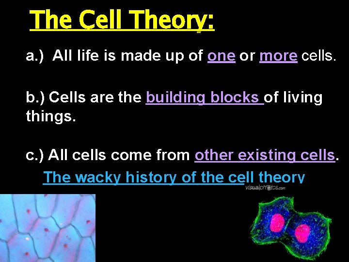 The Cell Theory: a. ) All life is made up of one or more