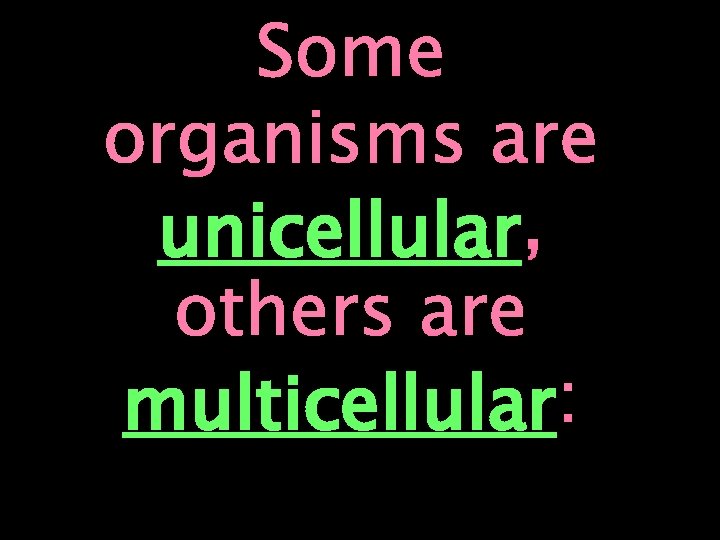Some organisms are unicellular , others are multicellular : 