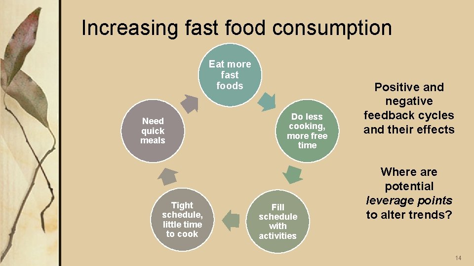 Increasing fast food consumption Eat more fast foods Need quick meals Tight schedule, little