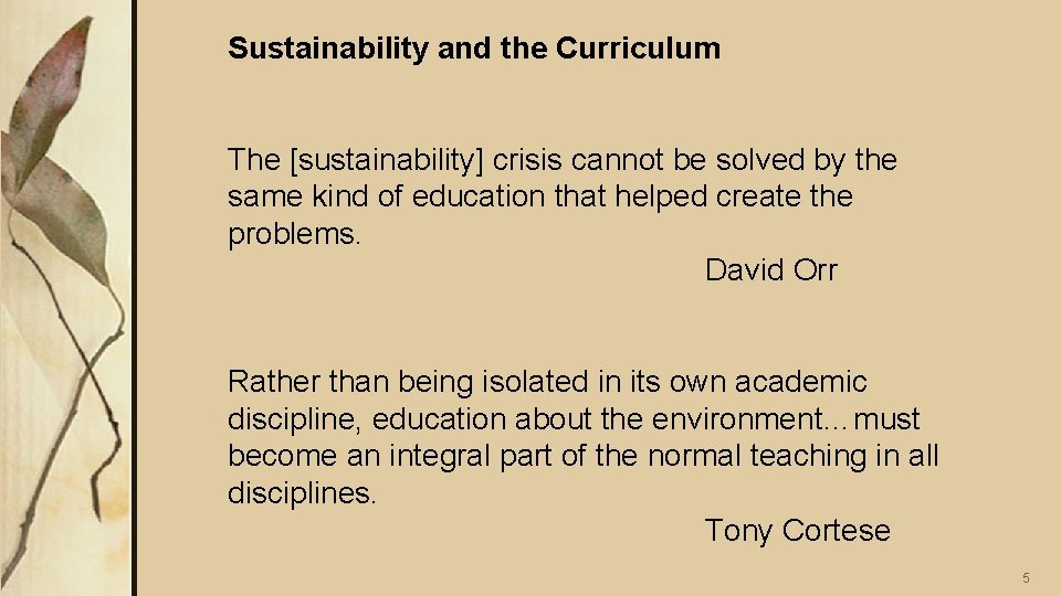 Sustainability and the Curriculum The [sustainability] crisis cannot be solved by the same kind