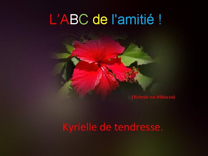 L’ABC de l'amitié ! (Ketmie ou Hibiscus) Kyrielle de tendresse. 