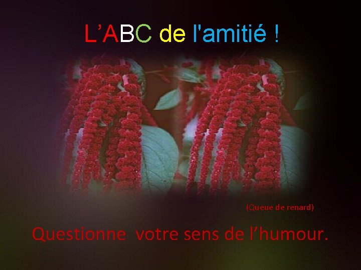 L’ABC de l'amitié ! (Queue de renard) Questionne votre sens de l’humour. 