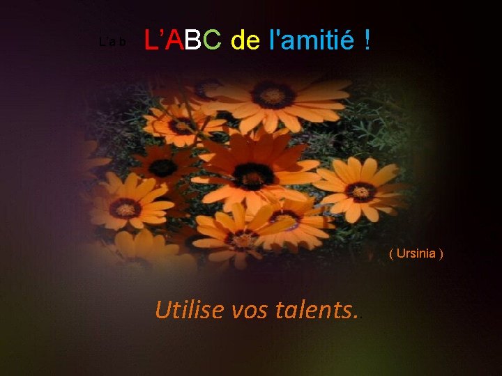 L’a b L’ABC de l'amitié ! ( Ursinia ) Utilise vos talents. . 