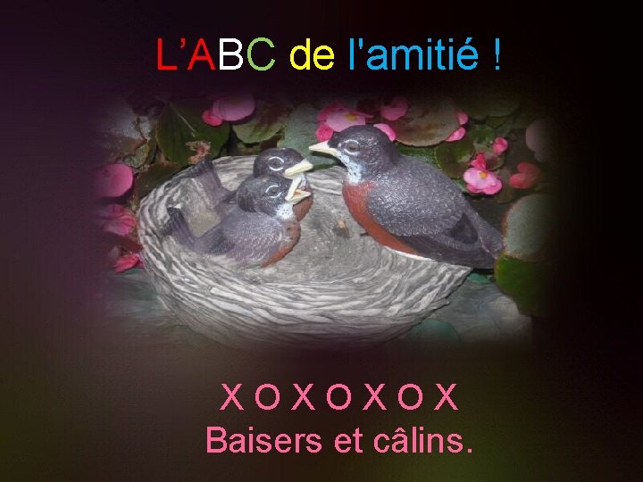 L’ABC de l'amitié ! X O X O X Baisers et câlins. 