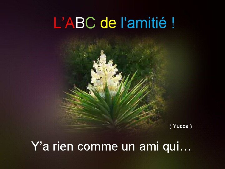 L’ABC de l'amitié ! ( Yucca ) Y’a rien comme un ami qui… 