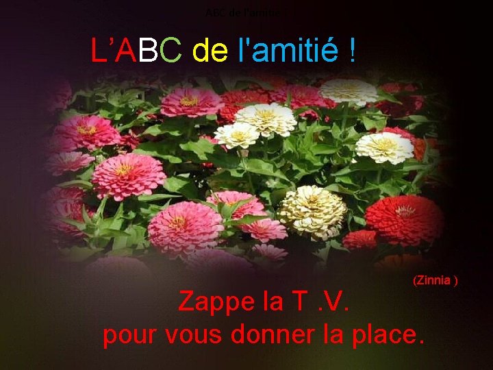 ABC de l'amitié ! L’ABC de l'amitié ! (Zinnia ) Zappe la T. V.