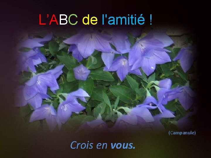 L’ABC de l'amitié ! (Campanule) Crois en vous. 