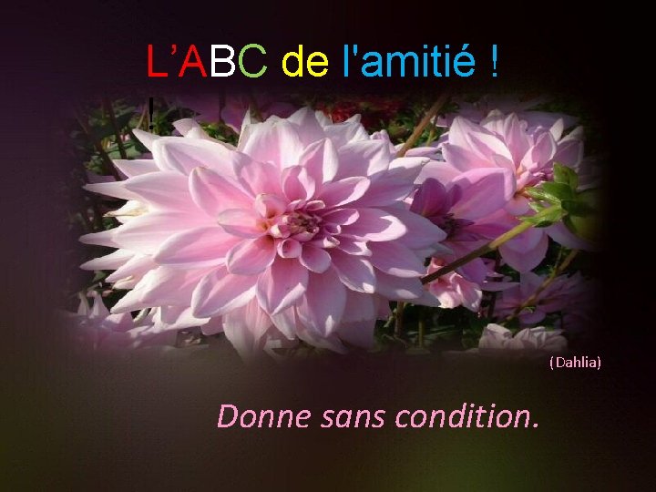 L’ABC de l'amitié ! ! (Dahlia) Donne sans condition. 