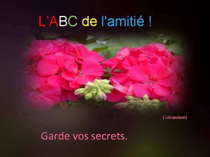 L’ABC de l'amitié ! (Géranium) Garde vos secrets. 