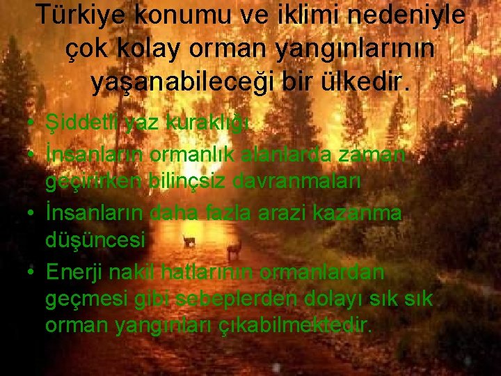 Türkiye konumu ve iklimi nedeniyle çok kolay orman yangınlarının yaşanabileceği bir ülkedir. • Şiddetli
