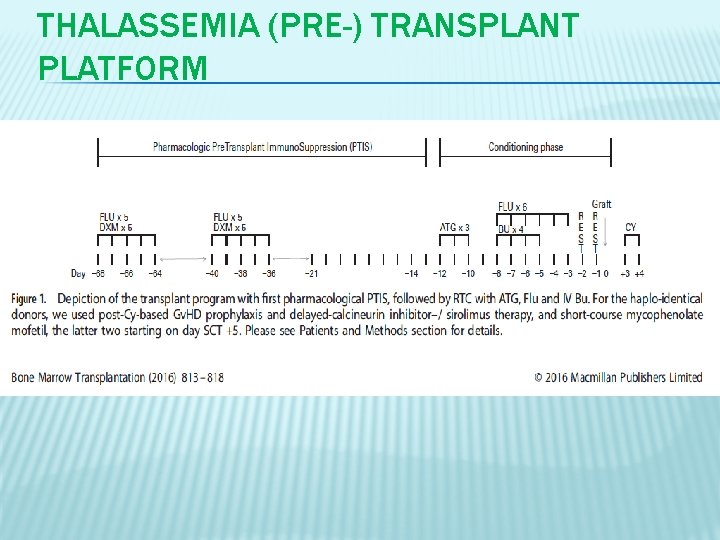 THALASSEMIA (PRE-) TRANSPLANT PLATFORM 