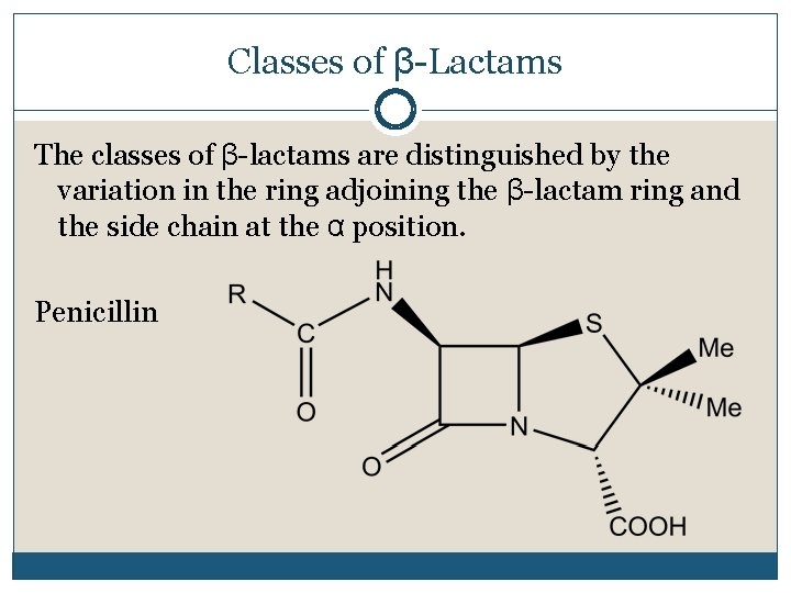 Classes of β-Lactams The classes of β-lactams are distinguished by the variation in the