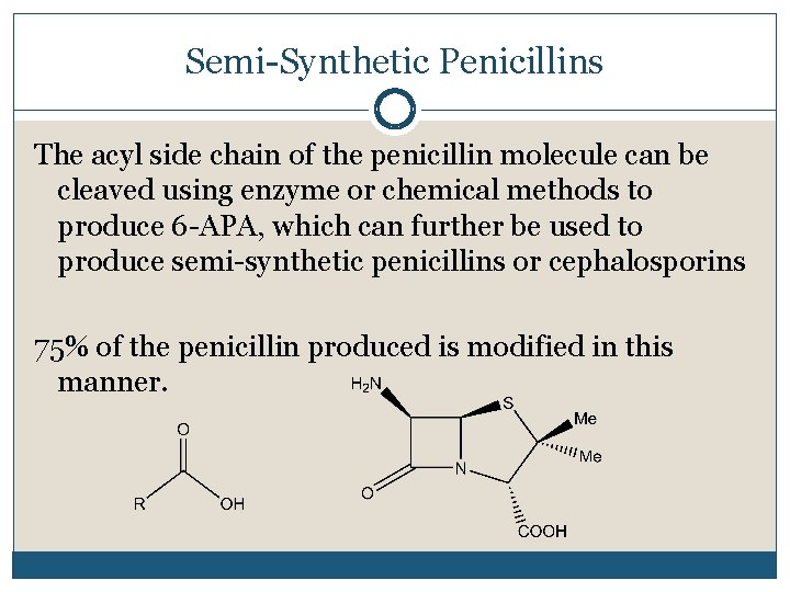 Semi-Synthetic Penicillins The acyl side chain of the penicillin molecule can be cleaved using