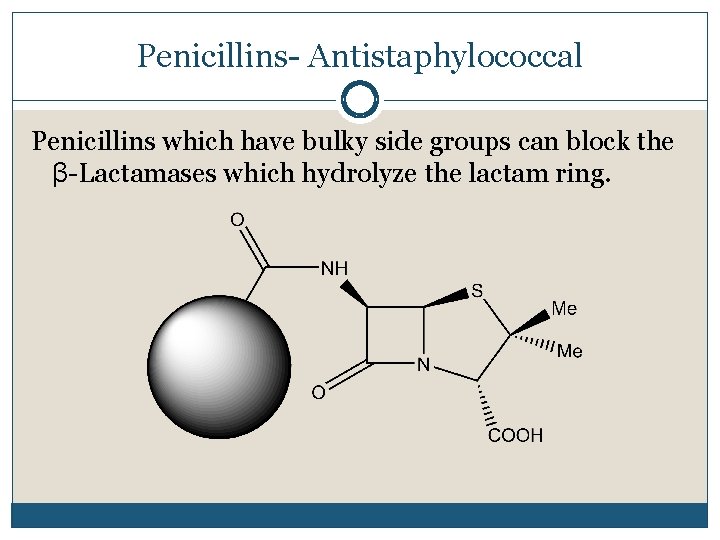 Penicillins- Antistaphylococcal Penicillins which have bulky side groups can block the β-Lactamases which hydrolyze