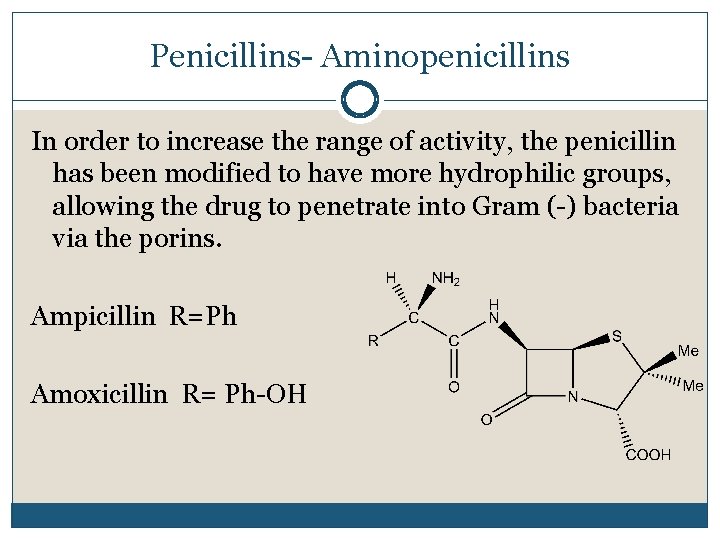 Penicillins- Aminopenicillins In order to increase the range of activity, the penicillin has been