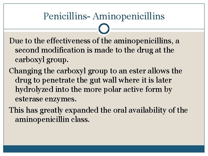 Penicillins- Aminopenicillins Due to the effectiveness of the aminopenicillins, a second modification is made