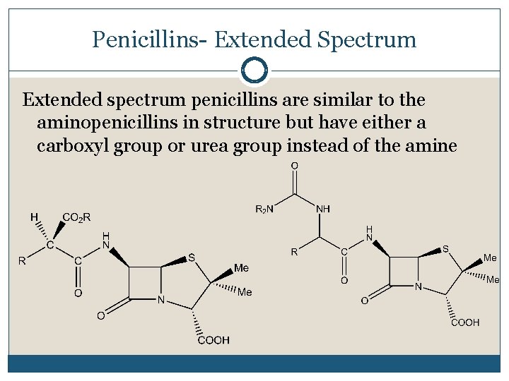 Penicillins- Extended Spectrum Extended spectrum penicillins are similar to the aminopenicillins in structure but