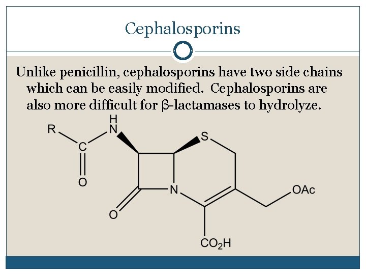 Cephalosporins Unlike penicillin, cephalosporins have two side chains which can be easily modified. Cephalosporins