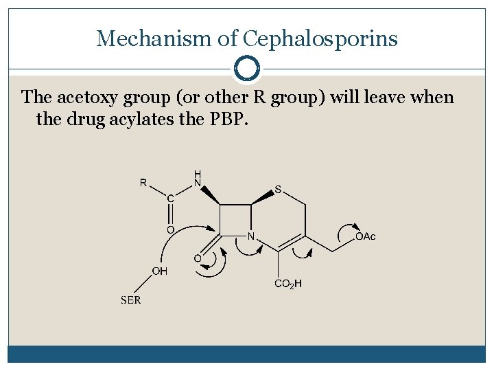 Mechanism of Cephalosporins The acetoxy group (or other R group) will leave when the