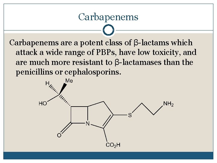 Carbapenems are a potent class of β-lactams which attack a wide range of PBPs,