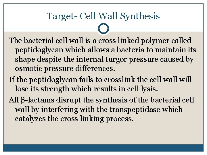 Target- Cell Wall Synthesis The bacterial cell wall is a cross linked polymer called