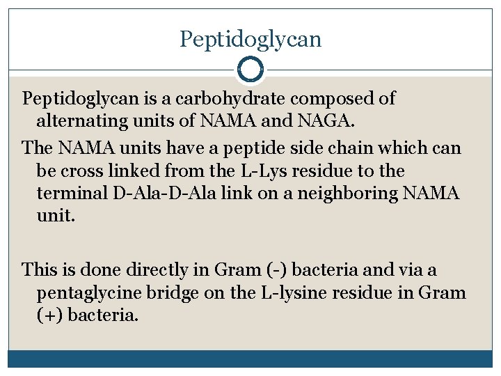 Peptidoglycan is a carbohydrate composed of alternating units of NAMA and NAGA. The NAMA