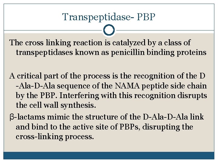 Transpeptidase- PBP The cross linking reaction is catalyzed by a class of transpeptidases known