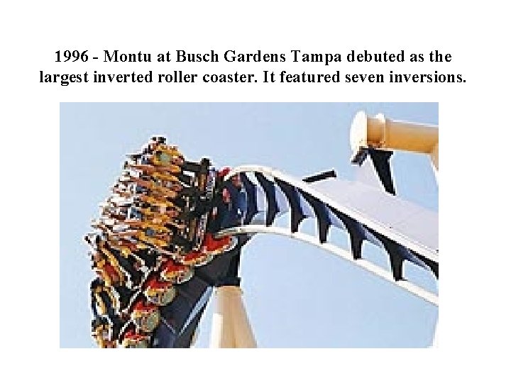 1996 - Montu at Busch Gardens Tampa debuted as the largest inverted roller coaster.