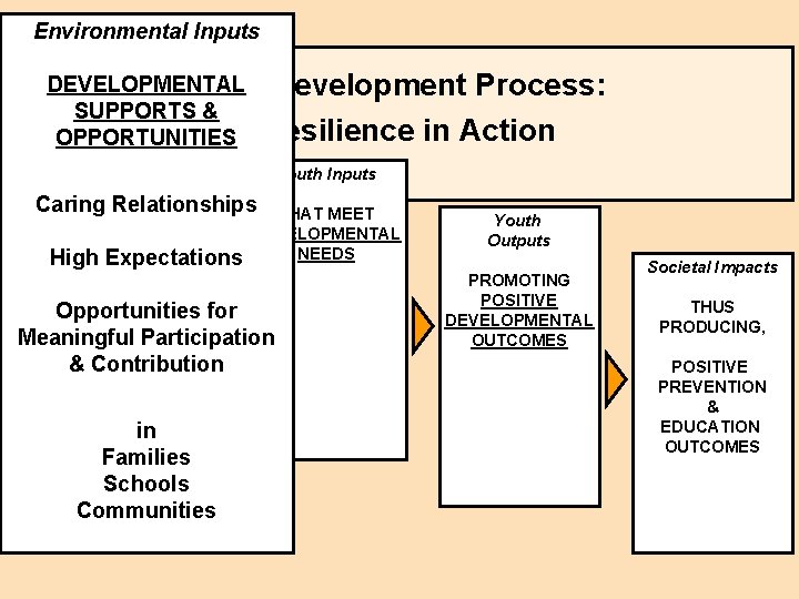 Environmental Inputs DEVELOPMENTAL Youth/Human Development Process: SUPPORTS & Environmental Resilience in Action OPPORTUNITIES Inputs