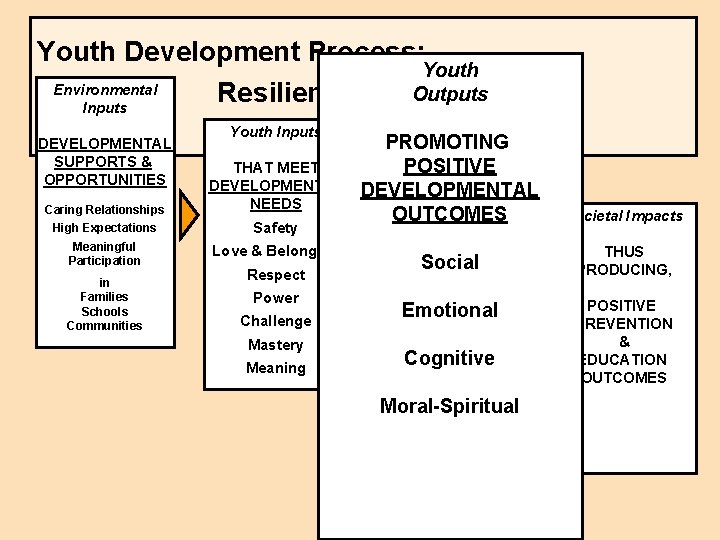 Youth Development Process: Youth Environmental Outputs Resilience in Action Inputs DEVELOPMENTAL SUPPORTS & OPPORTUNITIES