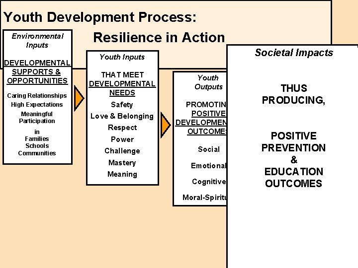 Youth Development Process: Environmental Resilience in Action Inputs DEVELOPMENTAL SUPPORTS & OPPORTUNITIES Youth Inputs