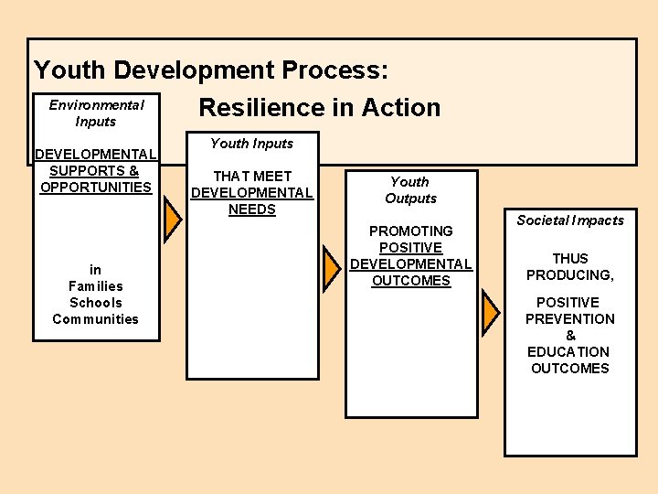 Youth Development Process: Environmental Resilience in Action Inputs DEVELOPMENTAL SUPPORTS & OPPORTUNITIES in Families