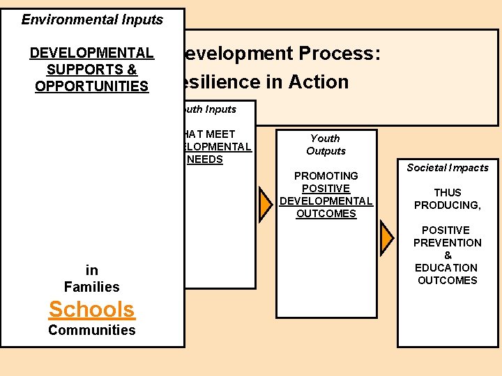 Environmental Inputs DEVELOPMENTAL Youth/Human Development Process: SUPPORTS & Environmental Resilience in Action OPPORTUNITIES Inputs