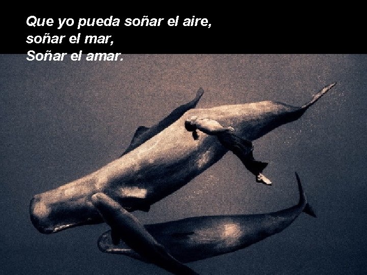 Que yo pueda soñar el aire, soñar el mar, Soñar el amar. 