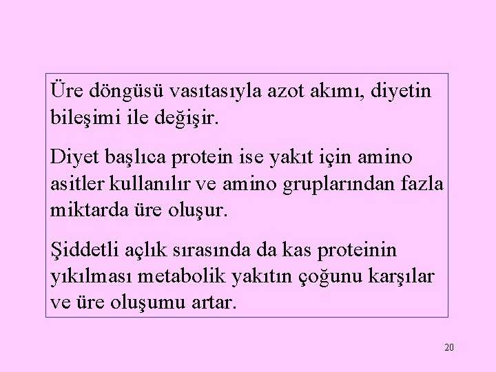 Üre döngüsü vasıtasıyla azot akımı, diyetin bileşimi ile değişir. Diyet başlıca protein ise yakıt