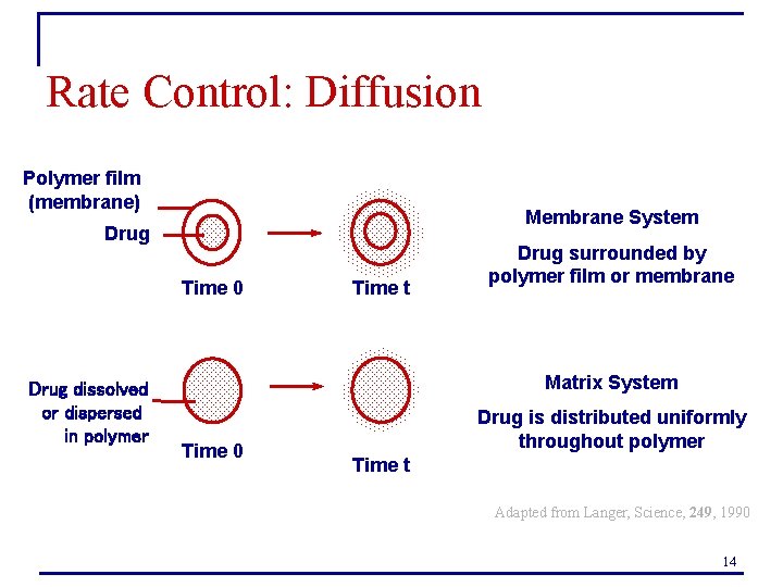 Rate Control: Diffusion Polymer film (membrane) Membrane System Drug Time 0 Drug dissolved or