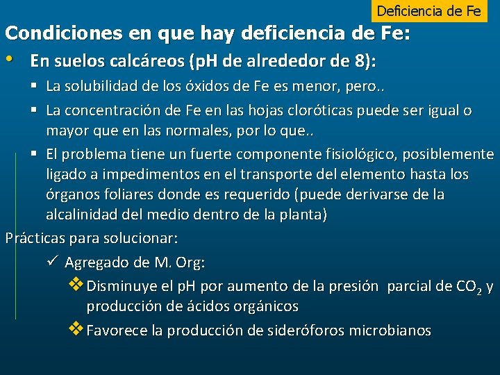 Deficiencia de Fe Condiciones en que hay deficiencia de Fe: • En suelos calcáreos