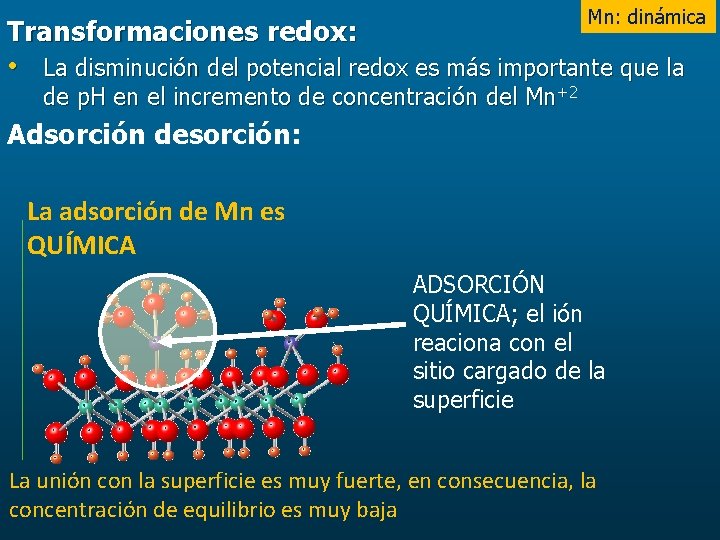 Mn: dinámica Transformaciones redox: • La disminución del potencial redox es más importante que
