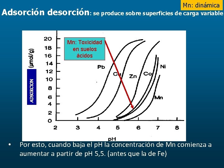 Mn: dinámica Adsorción desorción: se produce sobre superficies de carga variable ADSORCION Mn: Toxicidad